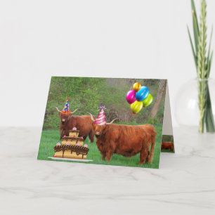 Scottish Highland Steer Party Birthday Karte
