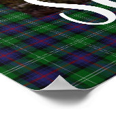 Scottish Highland Steer Poster (Ecke)