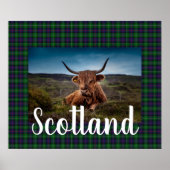 Scottish Highland Steer Poster (Vorne)