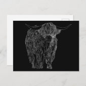 Scottish Highlander bull Postkarte (Vorne/Hinten)