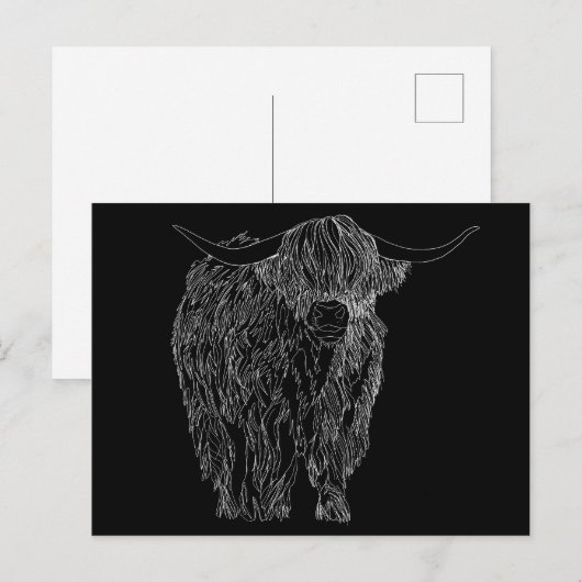 Scottish Highlander bull Postkarte (Vorne/Hinten)