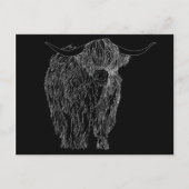 Scottish Highlander bull Postkarte (Vorderseite)