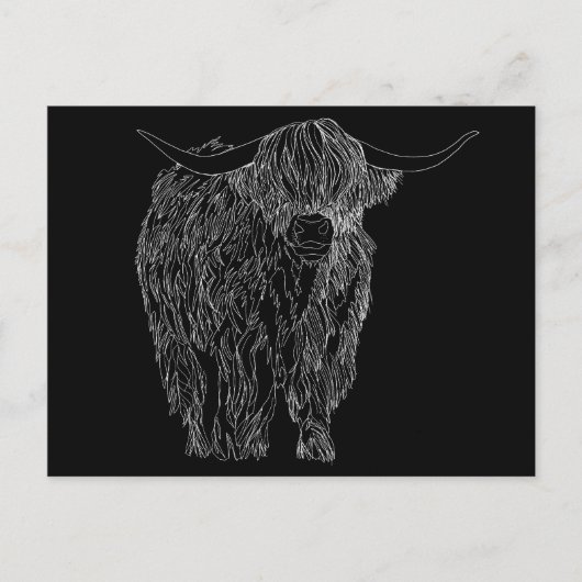 Scottish Highlander bull Postkarte (Vorderseite)