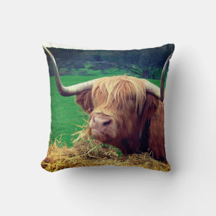 Scottish Highlander Cow Kissen