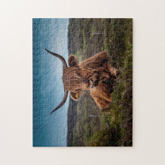 Scottish Oxen. Puzzle (Vertikal)