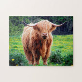 Scottish Oxen. Puzzle (Horizontal)