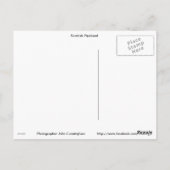 Scottish Pipeband Postkarte (Rückseite)