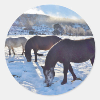 Scottish Ponies Runder Aufkleber