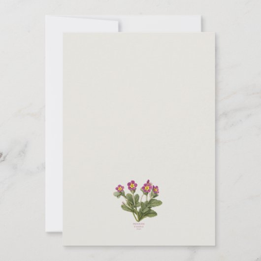 Scottish Primrose Botanical Pattern Invitation Einladung (Rückseite)