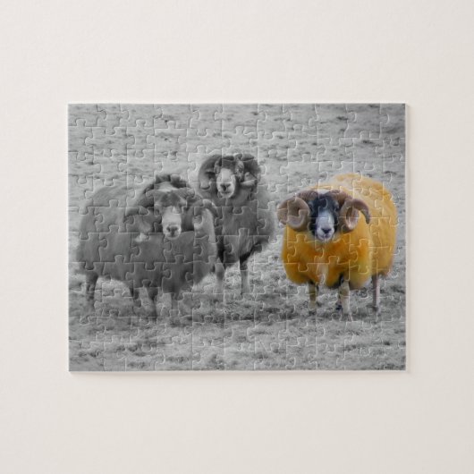 Scottish Rams Puzzle (Horizontal)
