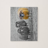 Scottish Rams Puzzle (Vertikal)
