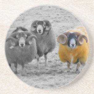 Scottish Rams Untersetzer