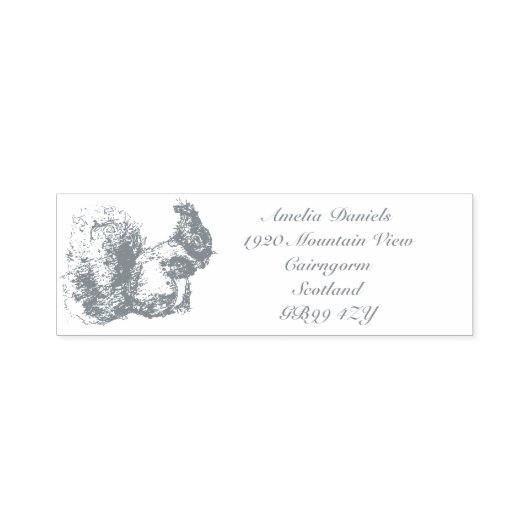 Scottish Squirrel Address Self Inking Kautschuk Br Permastempel (Design)