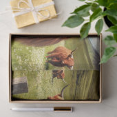 Scottish Steerpunk Seidenpapier (Geschenk)