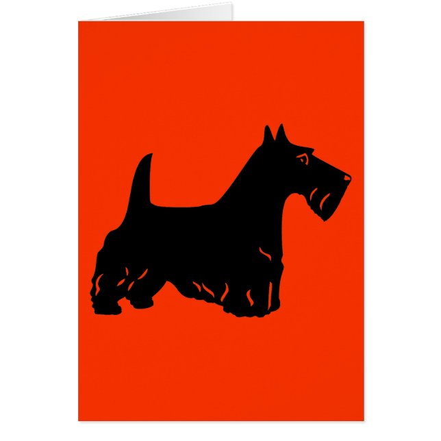 Scottish Terrier (Vorne)