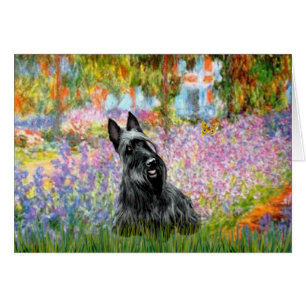Scottish Terrier 2 - Garden