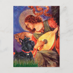 Scottish Terrier 6 - Mandolin Angel Postkarte