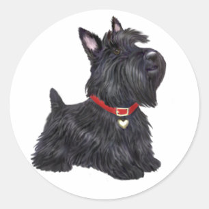 Scottish Terrier (A) - (von JBF) Runder Aufkleber