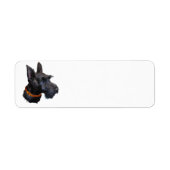 Scottish Terrier Address (Vorne)