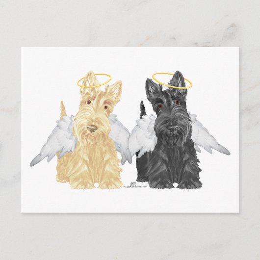 Scottish Terrier Angels Postkarte (Vorderseite)