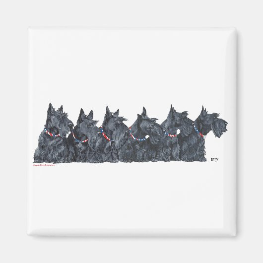 Scottish Terrier Ansammlung Magnet (Vorne)