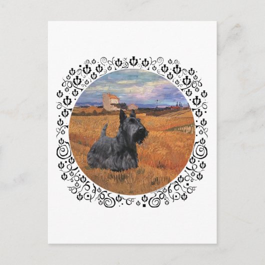 Scottish Terrier at Harvest Time Postkarte (Vorderseite)