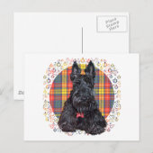 Scottish Terrier auf Buchanan Kariert Postkarte (Vorne/Hinten)