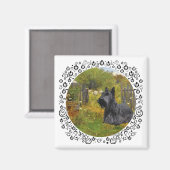 Scottish Terrier auf dem Bauernhof Magnet (Vorderseite/Rückseite)
