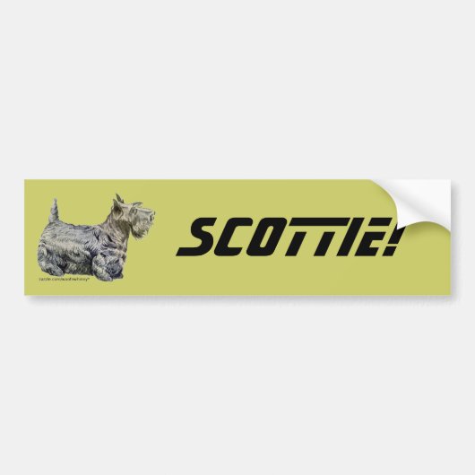 Scottish Terrier Autoaufkleber (Vorne)