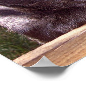 Scottish Terrier Black Happy Welpen nah Poster (Ecke)