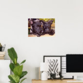Scottish Terrier Black Happy Welpen nah Poster (Heimbüro)