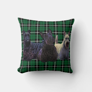Scottish Terrier Black/Wheaten, kelgrün kariert Kissen