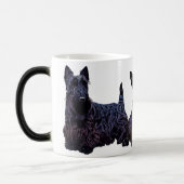 Scottish Terrier Black/Wheaten trio, schwarzer Hun Verwandlungstasse (Links)