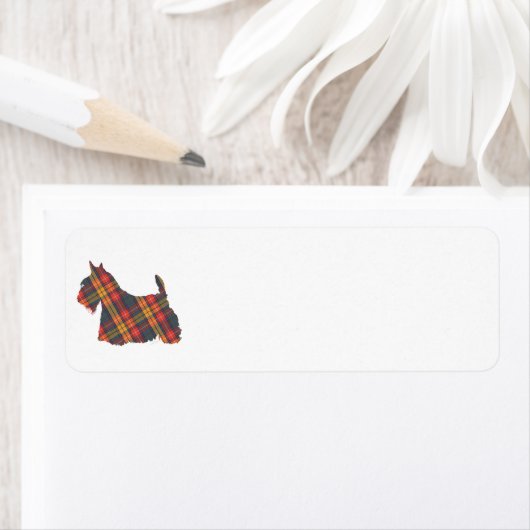 Scottish Terrier Buchanan Tartan (Insitu)