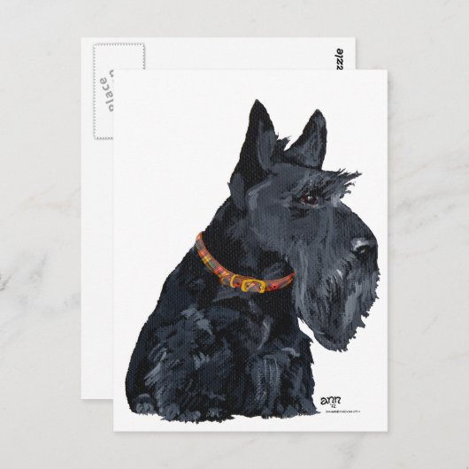 Scottish Terrier Card Postkarte (Vorne/Hinten)