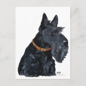 Scottish Terrier Card Postkarte (Vorderseite)