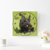 Scottish Terrier Clock Quadratische Wanduhr (Zuhause)