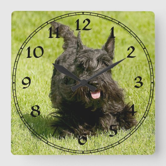 Scottish Terrier Clock Quadratische Wanduhr (Vorderseite)