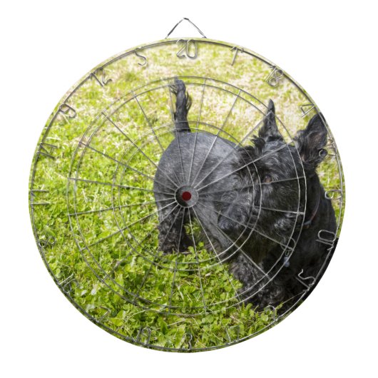 Scottish Terrier Dartscheibe (vorne)