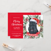 Scottish Terrier Dog Inexpensive Weihnachtskarte Karte (Vorderseite/Rückseite Beispiel)
