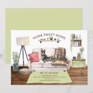 Scottish Terrier Dog Moving Ankündigung