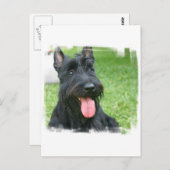 Scottish Terrier Dog Postcard Postkarte (Vorne/Hinten)