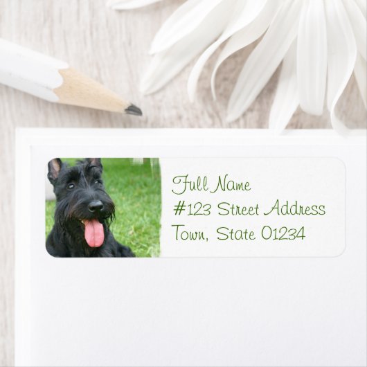 Scottish Terrier Dog Return Address Label (Insitu)