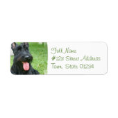 Scottish Terrier Dog Return Address Label (Vorne)