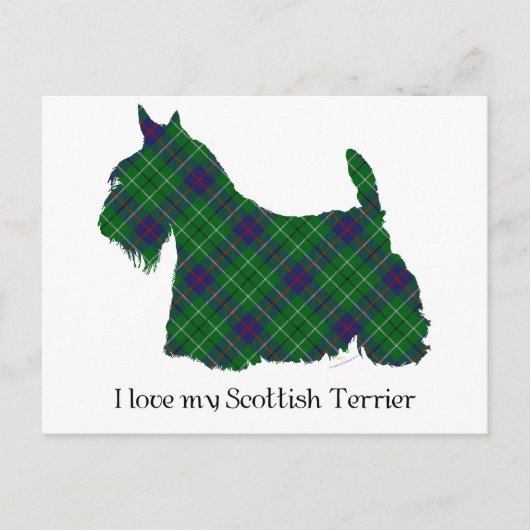 Scottish Terrier Duncan Tartan Postkarte (Vorderseite)