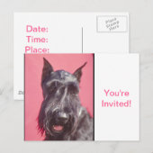 Scottish Terrier Einladungspostkarte (Vorne/Hinten)
