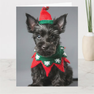 Scottish Terrier Elf Puppy Christmas Card Karte