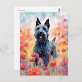 Scottish Terrier farbige Aquarellbilder Postkarte (Vorne/Hinten)