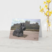 Scottish Terrier Get Well Wish Karte (Gelbe Blume)