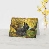 Scottish Terrier Get Well Wish Karte (Gelbe Blume)